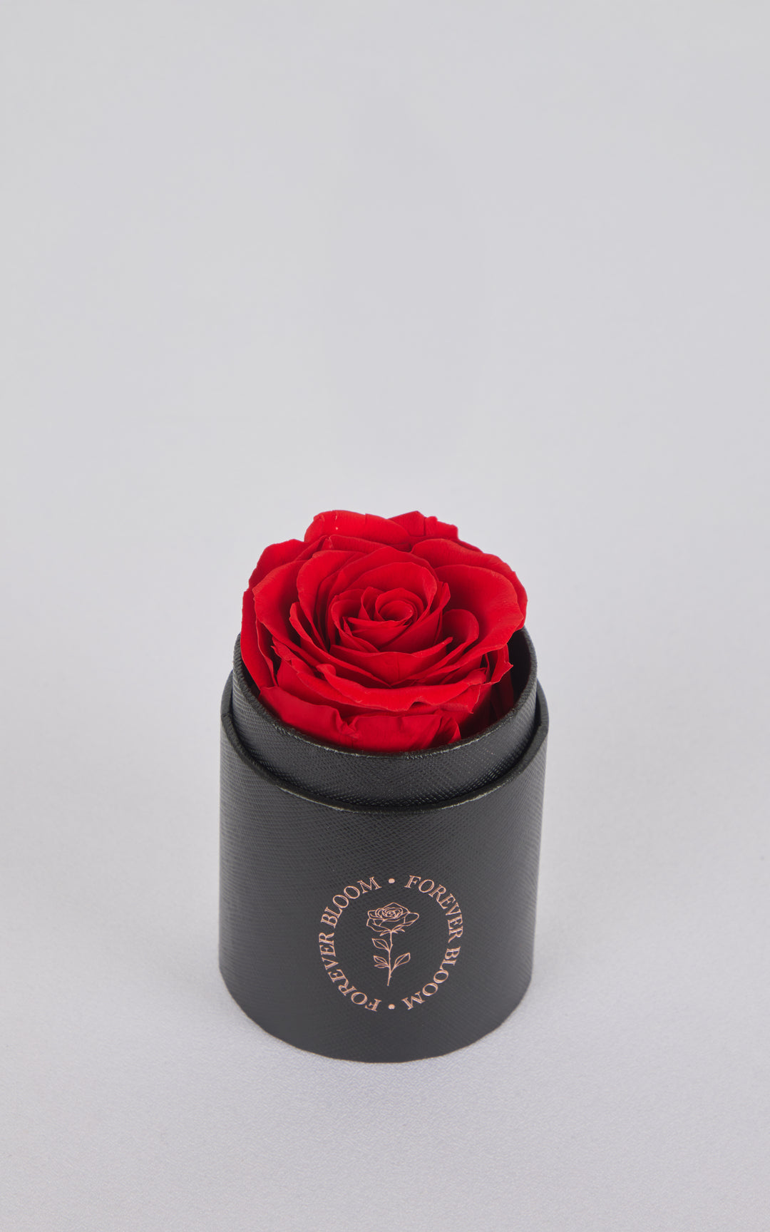 Allure Single Round Keepsake