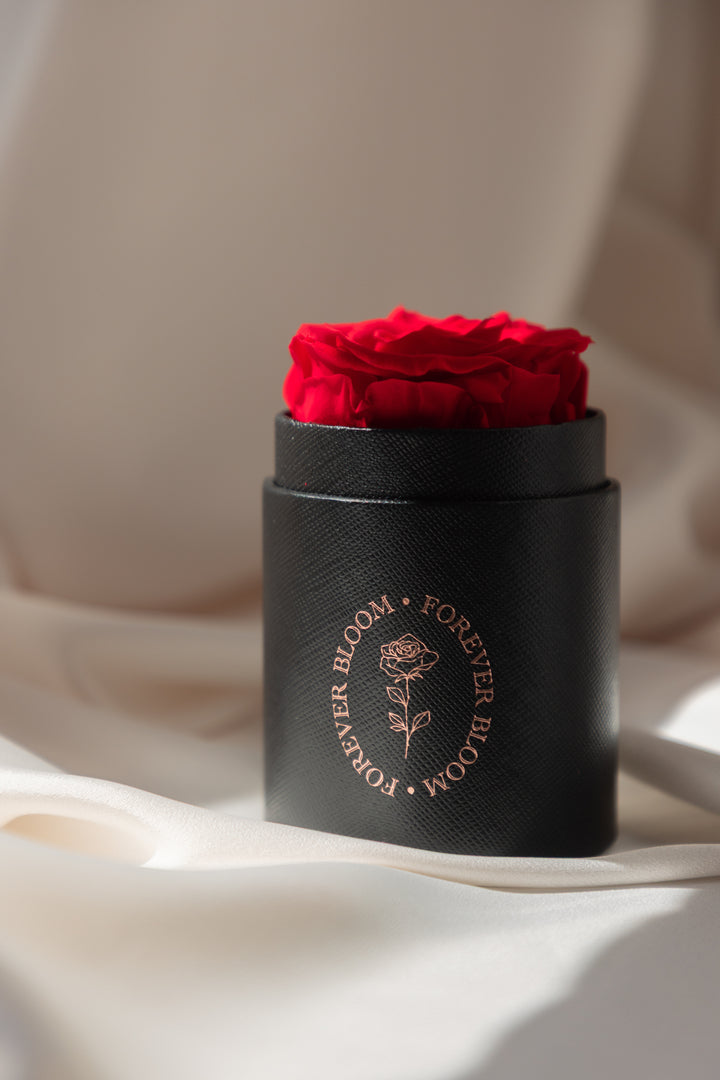 Allure Single Round Keepsake